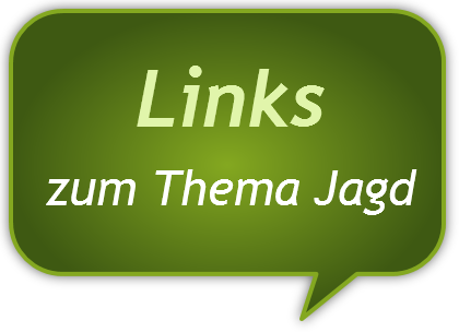 Links